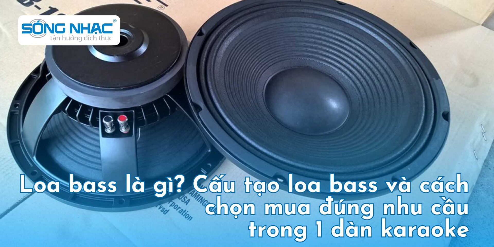 Loa bass là gì? Cấu tạo loa bass và cách chọn mua đúng nhu cầu trong 1 dàn karaoke