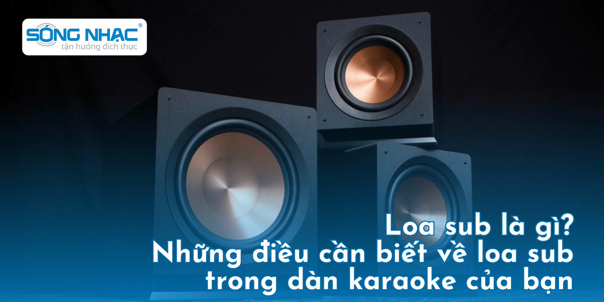 Loa sub là gì? Những điều cần biết về loa sub trong dàn karaoke của bạn